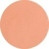 Superstar Rose Beige Complexion 45 Gram (007) -Face Painting Supplies Store 0012923 superstar rose beige complexion 45 gram 007